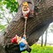 Climbing Gnomes Tree Faces Decor, Adorable Gnome Tree Hugger Fairy Garden Statue